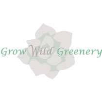 Grow Wild Greenery